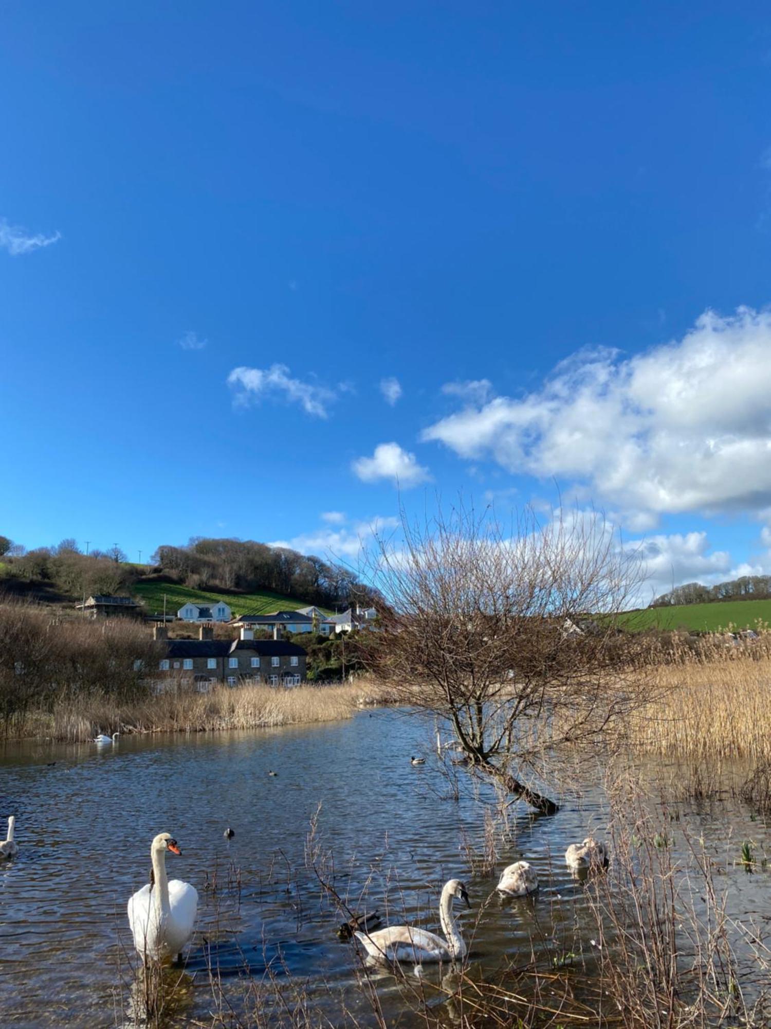 Beachside, Torcross, Between The Sea And The Ley 外观 照片